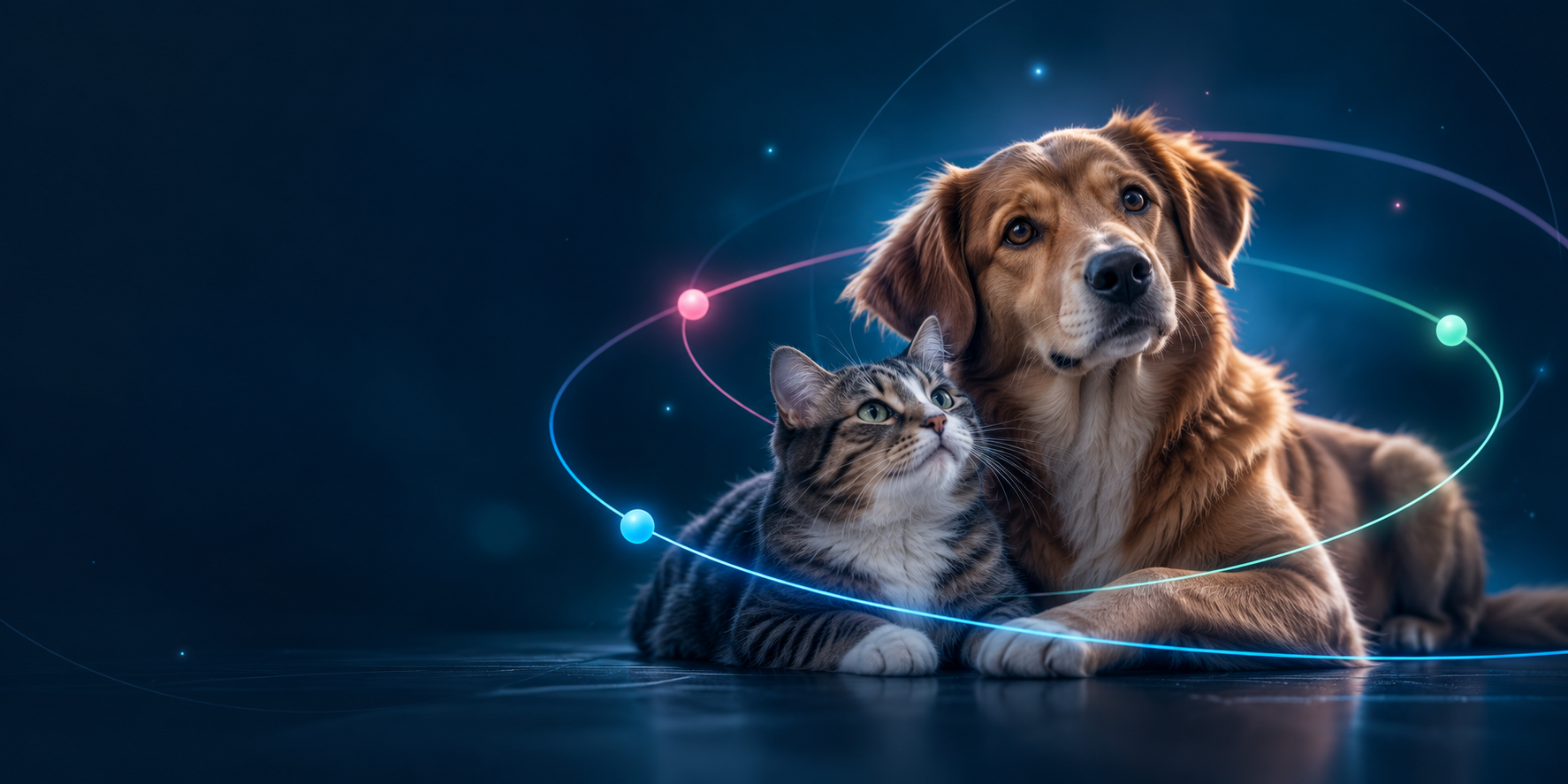 Un perro y un gato rodeados por trayectorias que representan las partes del ecosistema Mizark